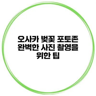 오사카 벚꽃 포토존 완벽한 사진 촬영을 위한 팁